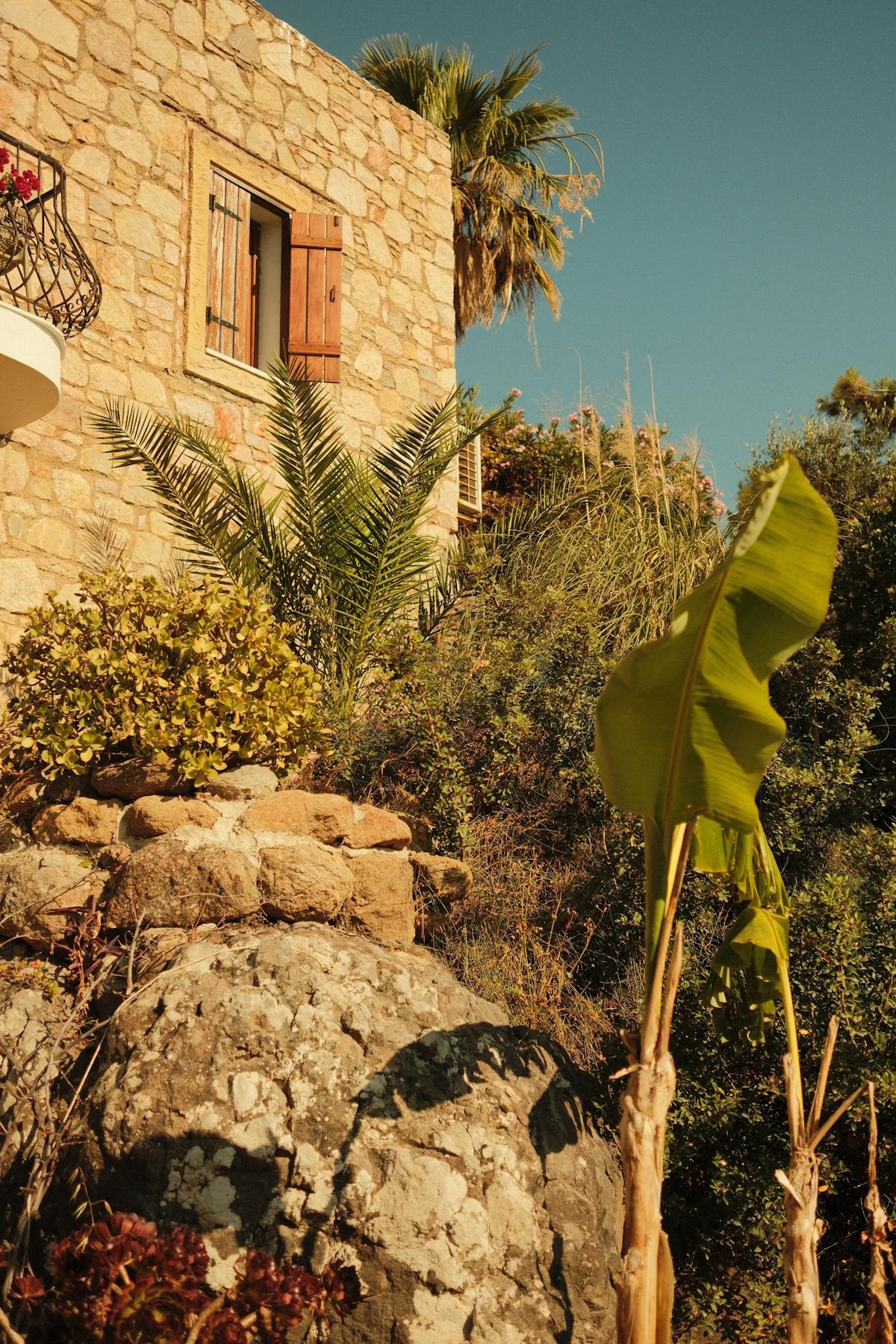Jardin méditerranéen aménagé à Nice par ELTP Terassement